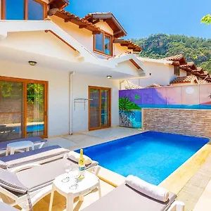 villa-elmas-paradise.aegeanhotels.net/